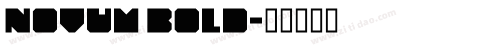 Novum Bold字体转换